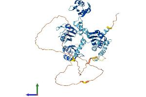 AlphaFold protein structure predicition of Human Recombinant PABPC1L Protein, UniprotID Q4VXU2 (PABPC1L Protein (AA 1-614) (His tag))