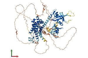 AlphaFold protein structure predicition of Mouse Recombinant Arhgef19 Protein, UniprotID Q8BWA8