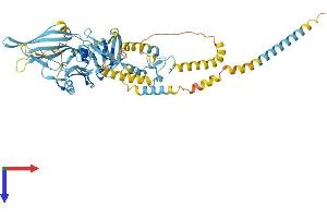 Endogenous Retrovirus Group K, Member 18 (ERVK-18) (AA 1-560) protein (His tag)