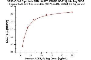 Immobilized SARS-CoV-2 S protein RBD (K417T, E484K, N501Y), His Tag (ABIN6973218) at 1 μg/mL (100 μL/well) can bind Human ACE2, Fc Tag (ABIN6952459,ABIN6952465) with a linear range of 0.