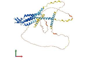AlphaFold protein structure predicition of Human Recombinant GJC2 Protein, UniprotID Q5T442
