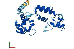 AlphaFold protein structure predicition of Mouse Recombinant Capsl Protein, UniprotID Q6P8Y1