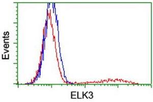HEK293T cells transfected with either RC203114 overexpress plasmid (Red) or empty vector control plasmid (Blue) were immunostained by anti-ELK3 antibody (ABIN2455066), and then analyzed by flow cytometry. (ELK3 antibody)