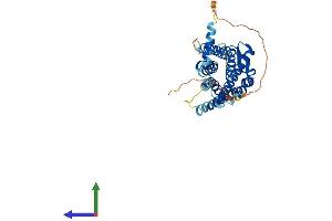 AlphaFold protein structure predicition of Mouse Recombinant Galr2 Protein, UniprotID O88854 (GALR2 Protein (AA 1-371) (His tag))