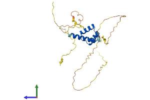 AlphaFold protein structure predicition of Mouse Recombinant Dlx1 Protein, UniprotID Q64317 (DLX1 Protein (AA 1-255) (His tag))