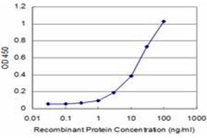 Detection limit for recombinant GST tagged PRKRIP1 is approximately 3ng/ml as a capture antibody. (PRKRIP1 antibody  (AA 1-184))