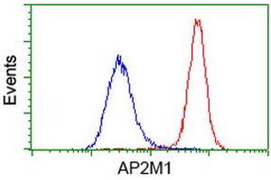 Flow cytometric Analysis of Hela cells, using anti-AP2M1 antibody (ABIN2454660), (Red), compared to a nonspecific negative control antibody, (Blue). (AP2M1 antibody  (AA 97-383))