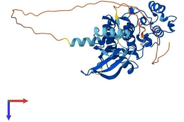CDKL1 Protein (AA 1-357) (His tag)