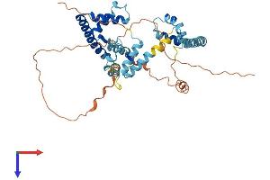 AlphaFold protein structure predicition of Human Recombinant UBTFL6 Protein, UniprotID P0CB48 (UBTFL6 Protein (AA 1-400) (His tag))