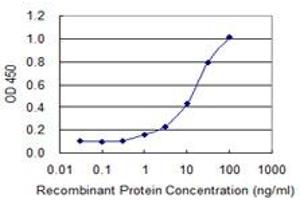 Detection limit for recombinant GST tagged ADAMTS4 is 0. (ADAMTS4 antibody  (AA 693-802))