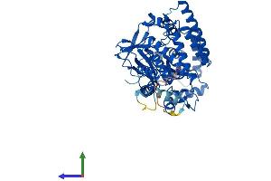 AlphaFold protein structure predicition of Mouse Recombinant Smyd1 Protein, UniprotID P97443 (SMYD1 Protein (AA 1-490) (His tag))