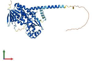 AlphaFold protein structure predicition of Mouse Recombinant Kmo Protein, UniprotID Q91WN4