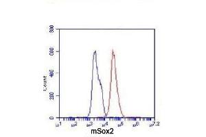 Flow Cytometry analysis of F9 cells stained with Sox2 (red, 1/100 dilution), followed by FITC-conjugated goat anti-mouse IgG. (SOX2 antibody)