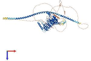 FBXO41 Protein (AA 1-873) (His tag)