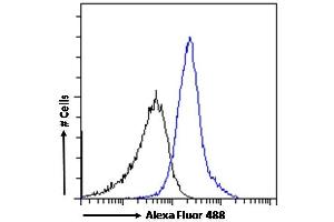 Flow Cytometry (FACS) image for anti-WNT1 Inducible Signaling Pathway Protein 1 (WISP1) (C-Term) antibody (ABIN238610)