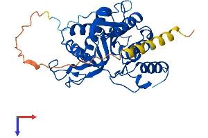 AlphaFold protein structure predicition of Mouse Recombinant B3galt1 Protein, UniprotID O54904 (B3GALT1 Protein (AA 1-326) (His tag))