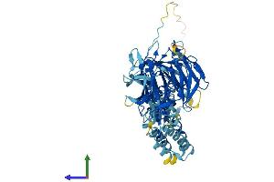 AlphaFold protein structure predicition of Mouse Recombinant Klhl25 Protein, UniprotID Q8R2P1 (KLHL25 Protein (AA 1-589) (His tag))