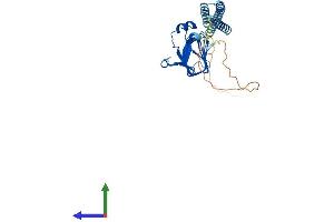 AlphaFold protein structure predicition of Human Recombinant TBCC Protein, UniprotID Q15814 (TBCC Protein (AA 1-346) (His tag))