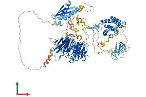 AlphaFold protein structure predicition of Human Recombinant WDR59 Protein, UniprotID Q6PJI9 (WDR59 Protein (AA 1-974) (His tag))