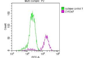 Overlay histogram showing Jurkat cells stained with ABIN7127667 (red line) at 1:50. (Recombinant PARP1 antibody)