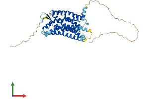 AlphaFold protein structure predicition of Mouse Recombinant Aplnr Protein, UniprotID Q9WV08 (Apelin Receptor Protein (APLNR) (AA 1-377) (His tag))