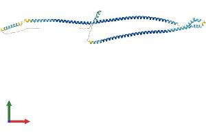 AlphaFold protein structure predicition of Mouse Recombinant Plvap Protein, UniprotID Q91VC4