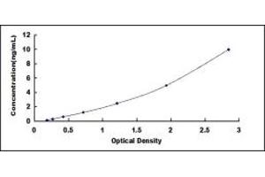 Typical standard curve (CL43 ELISA Kit)
