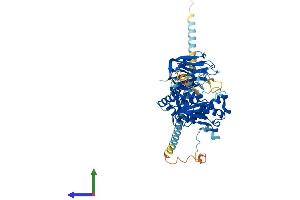 AlphaFold protein structure predicition of Human Recombinant MGAT4B Protein, UniprotID Q9UQ53