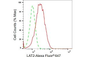 Flow cytometric analysis of LAT2 expression in HT- cells using LAT2 antibody (ABIN7799273), 1:2,000).