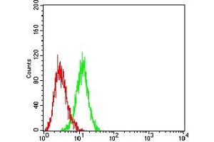 Flow cytometric analysis of HL-60 cells using CD283 mouse mAb (green) and negative control (red). (TLR3 antibody  (AA 24-217))