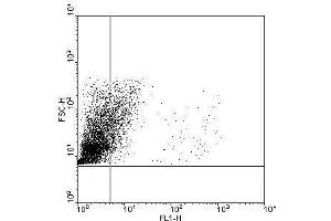 THP1 cells were incubated with IgG2a isptype controle (A) or α-TLR9 5G5 mAb (B). (TLR9 antibody  (FITC))