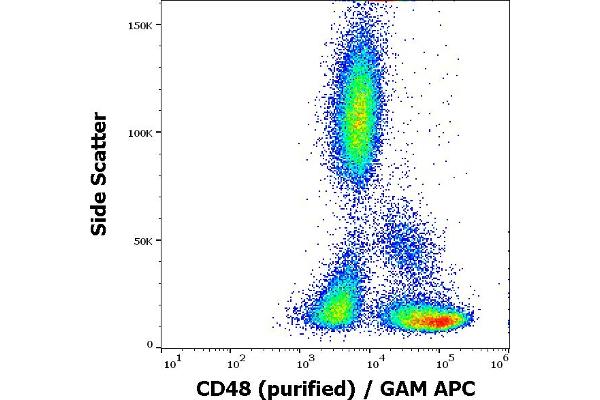 CD48 antibody