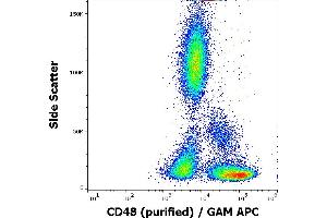 Flow cytometry surface staining pattern of human peripheral whole blood stained using anti-human CD48 (MEM-102) purified antibody (concentration in sample 3 μg/mL, GAM APC).