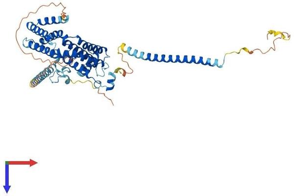 RABGEF1 Protein (AA 1-491) (His tag)