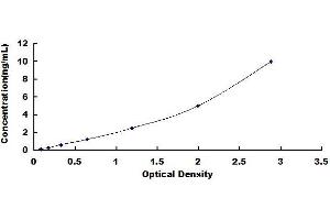 Typical standard curve (TLN1 ELISA Kit)