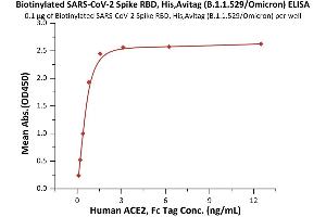 Immobilized Biotinylated SARS-CoV-2 Spike RBD, His,Avitag™ (B. (SARS-CoV-2 Spike Protein (B.1.1.529 - Omicron, RBD) (His-Avi Tag,Biotin))