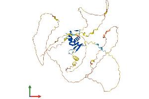 Protein Structure (PS) image for Forkhead Box O4 (FOXO4) (AA 1-505) protein (His tag) (ABIN7553959)