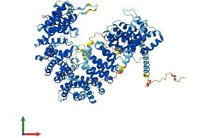 Protein Structure (PS) image for Importin 7 (IPO7) (AA 1-1038) protein (His tag) (ABIN7565025)