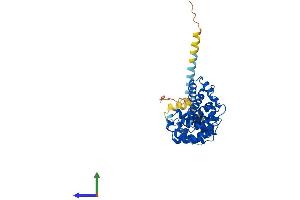 AlphaFold protein structure predicition of Human Recombinant ARMC12 Protein, UniprotID Q5T9G4