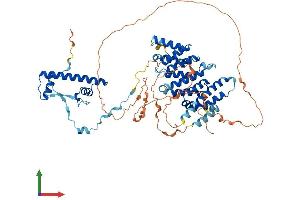 AlphaFold protein structure predicition of Mouse Recombinant Taf6l Protein, UniprotID Q8R2K4