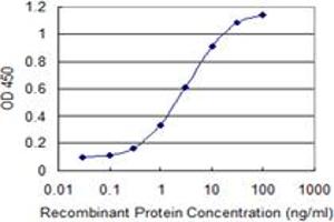 Detection limit for recombinant GST tagged GPR182 is 0. (G Protein-Coupled Receptor 182 antibody  (AA 1-54))