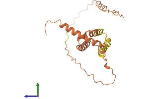 AlphaFold protein structure predicition of Human Recombinant LINC00473 Protein, UniprotID A8K010 (LINC00473 Protein (AA 1-186) (His tag))