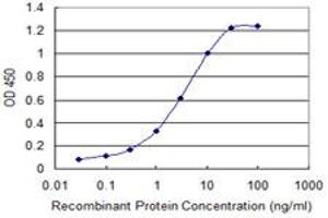 Detection limit for recombinant GST tagged SH3RF1 is 0. (SH3RF1 antibody  (AA 790-888))