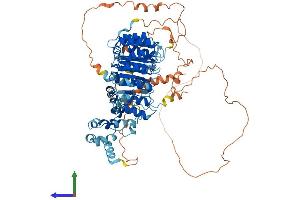 AlphaFold protein structure predicition of Mouse Recombinant Lrrc41 Protein, UniprotID Q8K1C9