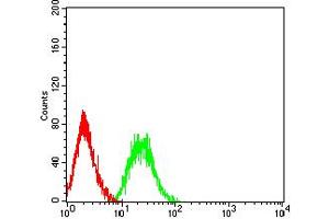 Flow cytometric analysis of HL-60 cells using PTPRD mouse mAb (green) and negative control (red). (PTPRD antibody  (AA 1077-1265))