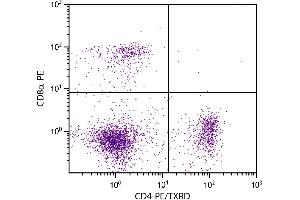 C57BL/6 mouse splenocytes were stained with Rat Anti-Mouse CD4-PE/TXRD and Rat Anti-Mouse CD8α-PE. (CD4 antibody  (PE,Texas Red (TR)))