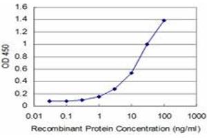 Detection limit for recombinant GST tagged TPMT is approximately 1ng/ml as a capture antibody. (TPMT antibody  (AA 1-245))
