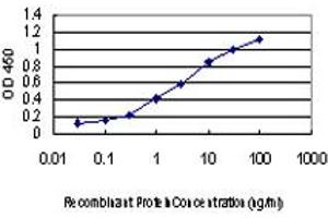 Detection limit for recombinant GST tagged ATP6V0D1 is approximately 0. (ATP6V0D1 antibody  (AA 238-308))