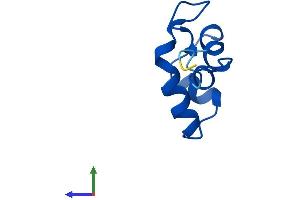 AlphaFold protein structure predicition of Human Recombinant POLR2L Protein, UniprotID P62875 (POLR2L Protein (AA 1-67) (Fc Tag))