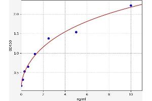 Typical standard curve (SIRT5 ELISA Kit)